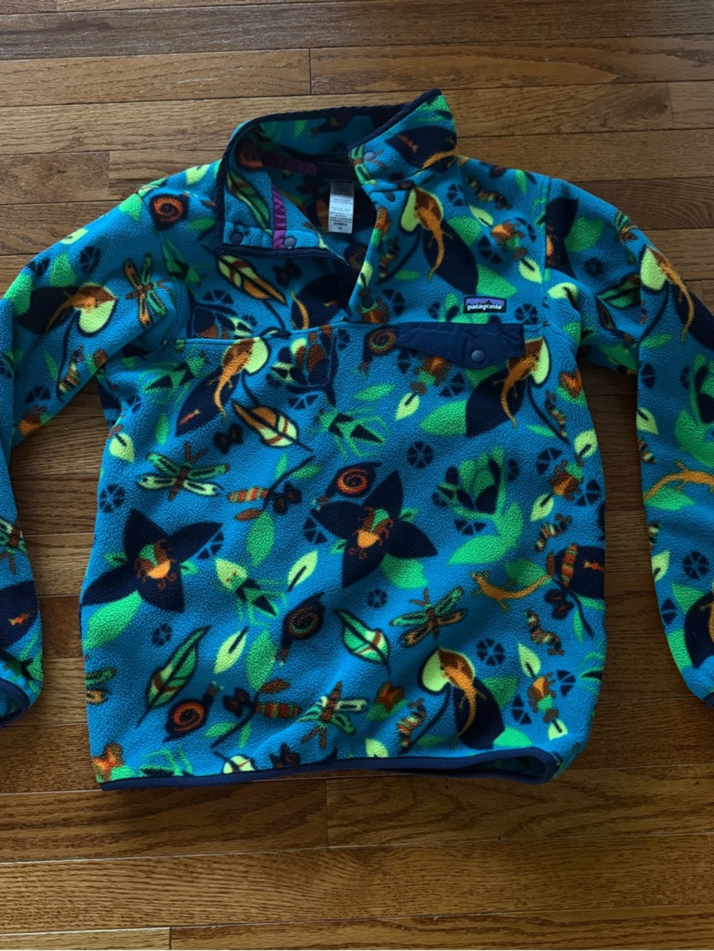 Patagonia Synchilla Jitterbug Teal and Lime Bug Fleece Pullover